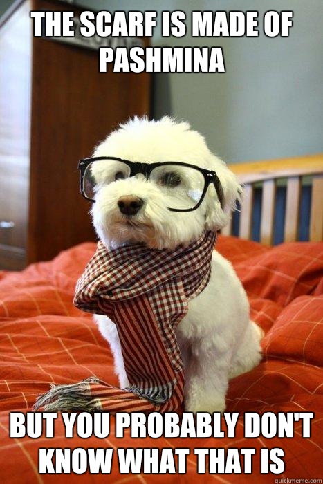 The scarf is made of Pashmina But you probably don't know what that is  Hipster Dog
