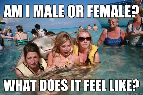 Am I male or female? What does it feel like?  Pervert Stingray