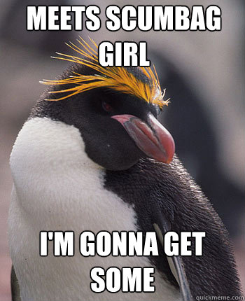 Meets scumbag girl I'm gonna get some  Socially Overconfident Penguin