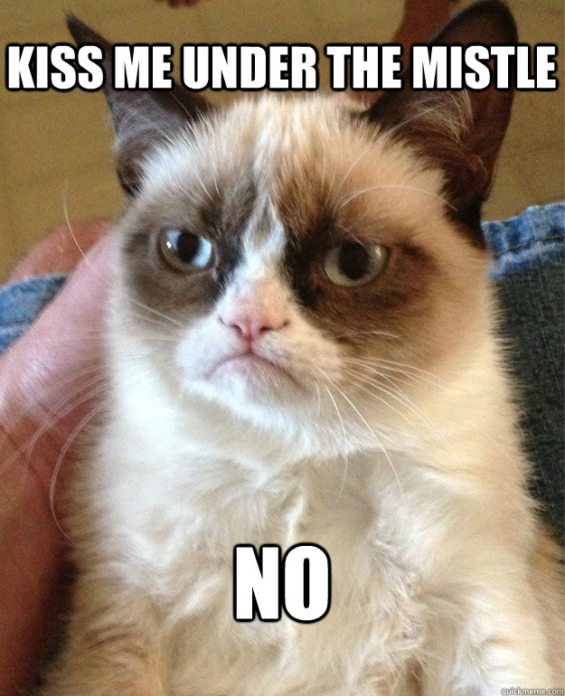kiss me under the mistle no  Grumpy Cat