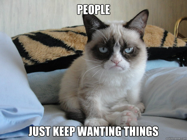 People Just keep wanting things  Grumpy cat in the morning