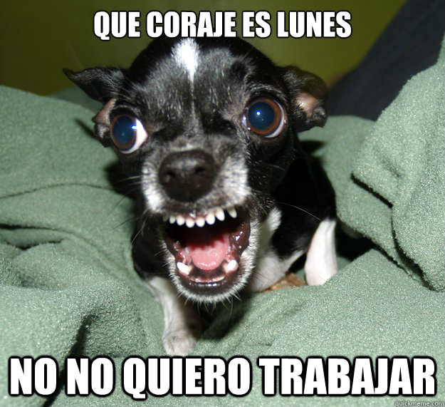 QUE CORAJE ES LUNES  NO NO QUIERO TRABAJAR   Chihuahua Logic