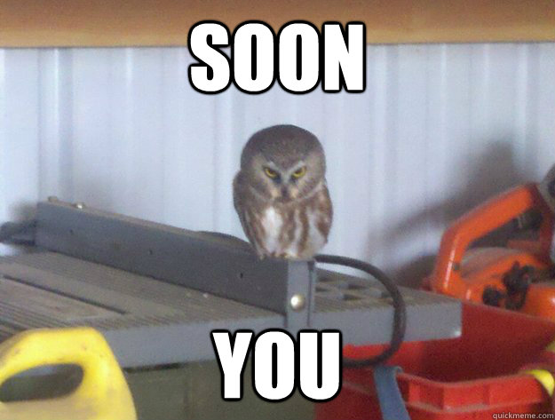 Soon You - Soon You  Insane Owl