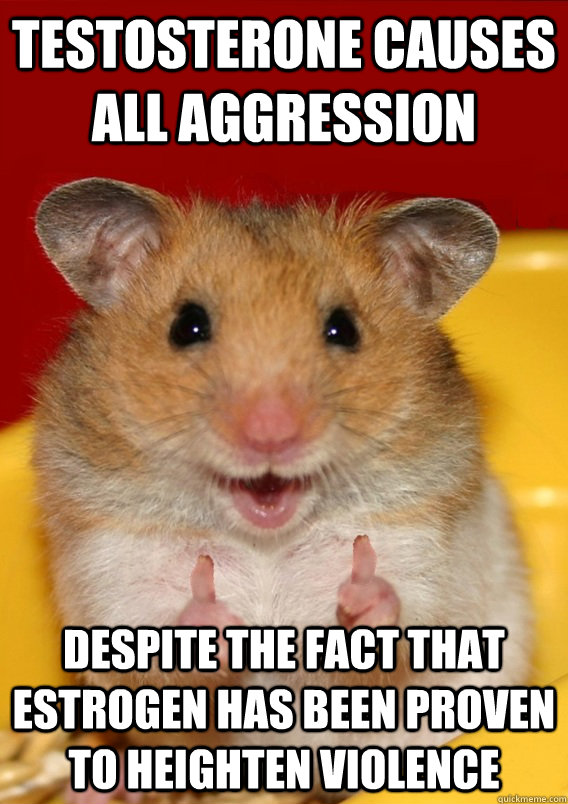 Testosterone causes all aggression Despite the fact that estrogen has been proven to heighten violence    Rationalization Hamster