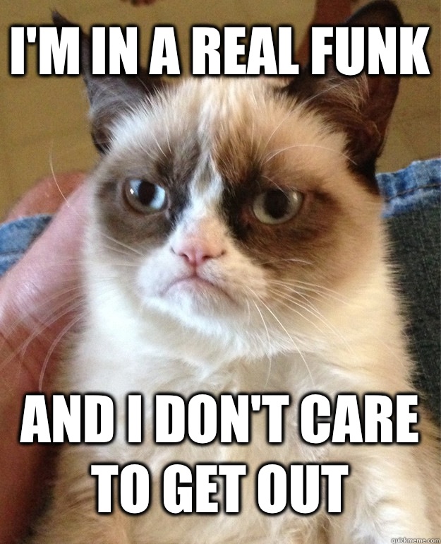 I'm in a real funk  And I don't care to get out  Grumpy Cat