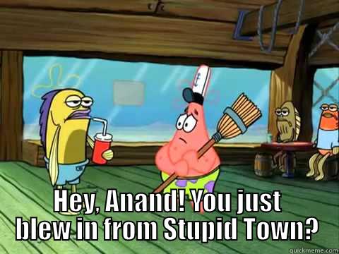  HEY, ANAND! YOU JUST BLEW IN FROM STUPID TOWN? Misc