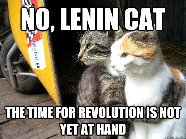 No, Lenin Cat The time for revolution is not yet at hand  Restraining Cat