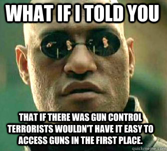 what if i told you that if there was gun control terrorists wouldn't have it easy to access guns in the first place.  Matrix Morpheus