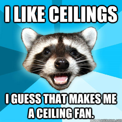 I like ceilings I guess that makes me a ceiling fan.   Lame Pun Raccoon