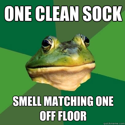 One clean sock Smell matching one off floor  Foul Bachelor Frog