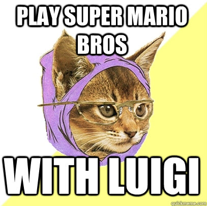 play super mario bros with luigi  Hipster Kitty