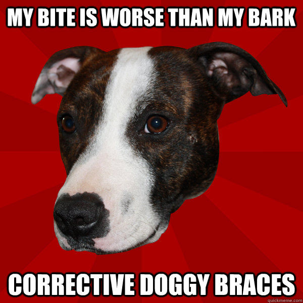 MY BITE IS WORSE THAN MY BARK CORRECTIVE DOGGY BRACES  Vicious Pitbull Meme