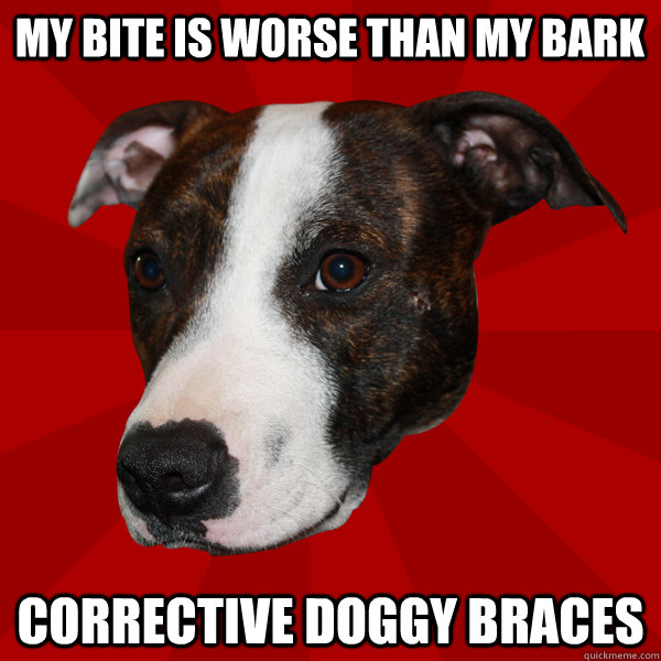 MY BITE IS WORSE THAN MY BARK CORRECTIVE DOGGY BRACES - MY BITE IS WORSE THAN MY BARK CORRECTIVE DOGGY BRACES  Vicious Pitbull Meme