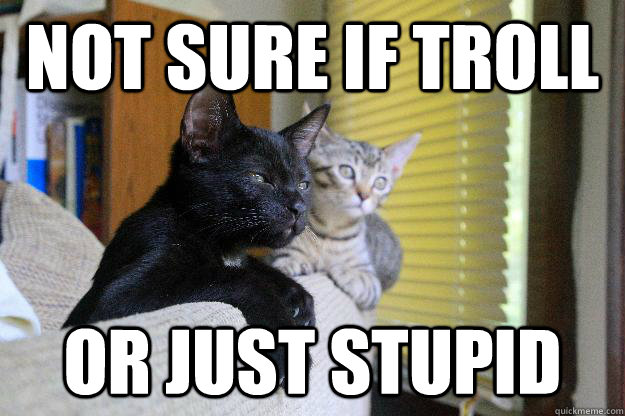 NOT SURE IF TROLL OR JUST STUPID - NOT SURE IF TROLL OR JUST STUPID  Futurama Fry Cat