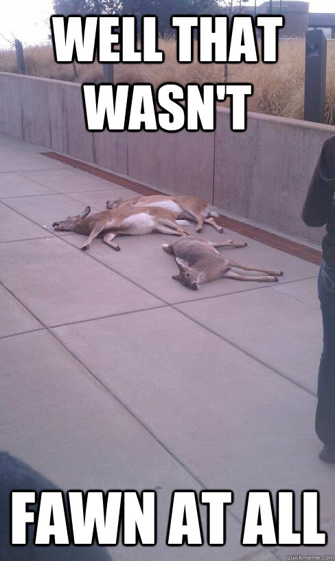 Well that wasn't fawn at all - Well that wasn't fawn at all  Misc