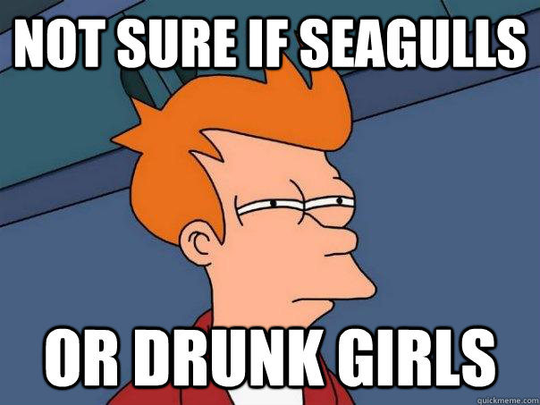 Not sure if seagulls Or drunk girls  Futurama Fry