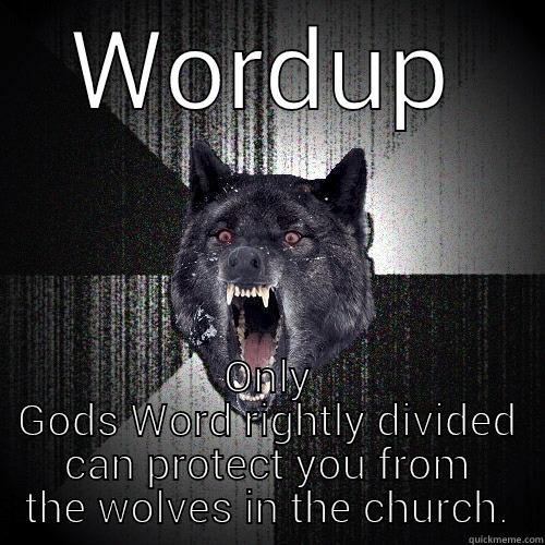 WORDUP ONLY GODS WORD RIGHTLY DIVIDED CAN PROTECT YOU FROM THE WOLVES IN THE CHURCH. Insanity Wolf