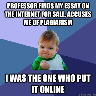 professor finds my essay on the internet for sale. accuses me of plagiarism i was the one who put it online - professor finds my essay on the internet for sale. accuses me of plagiarism i was the one who put it online  Success Kid