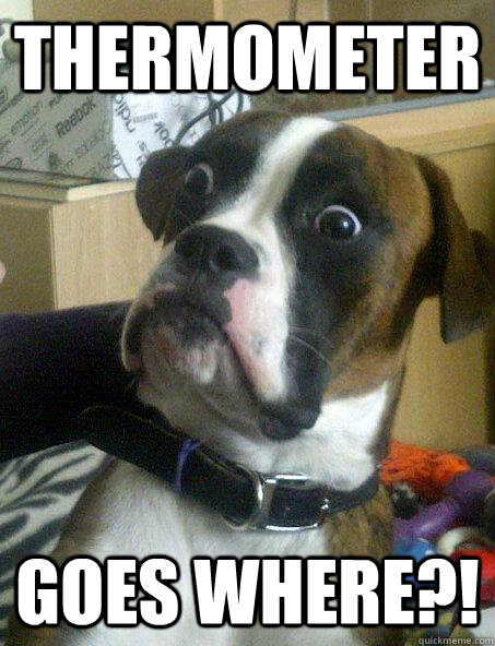 Thermometer goes where?!  