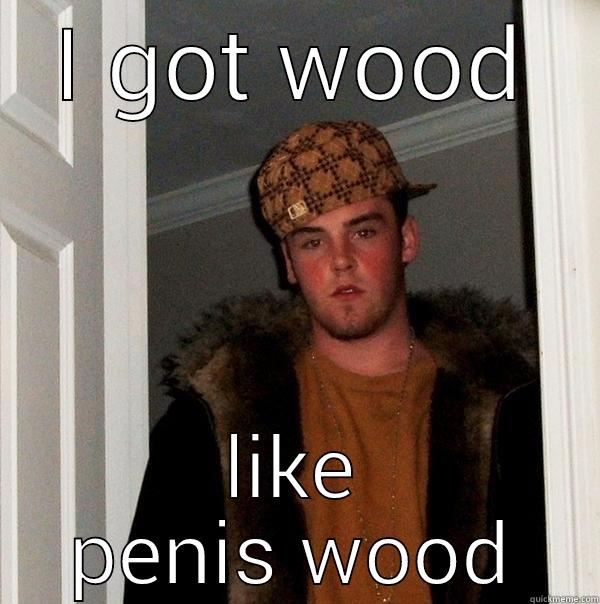 I GOT WOOD LIKE PENIS WOOD Scumbag Steve