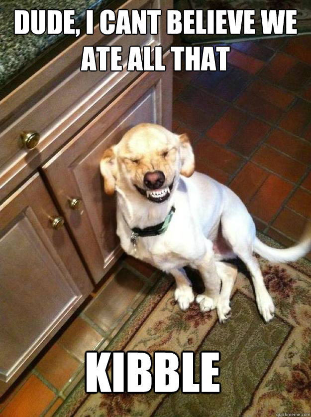 dude, i cant believe we ate all that KIBBLE  High Dog