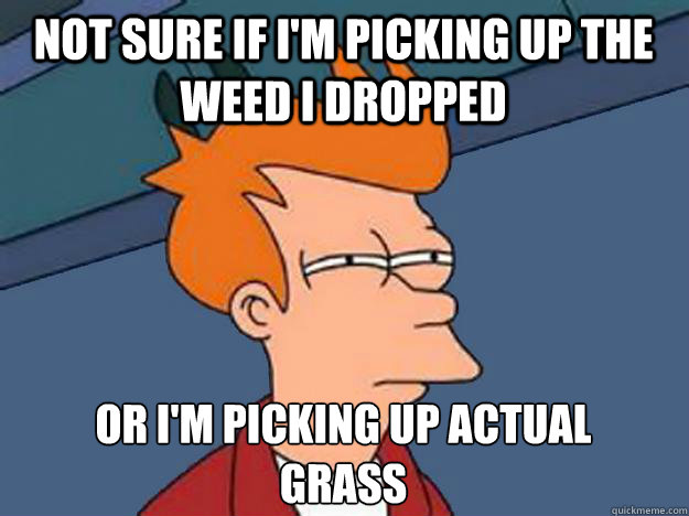 Not sure if I'm picking up the weed i dropped or i'm picking up actual
grass - Not sure if I'm picking up the weed i dropped or i'm picking up actual
grass  Unsure Fry