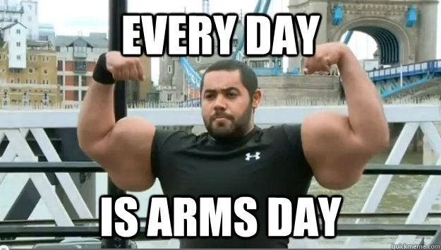EVERY DAY IS ARMS DAY - EVERY DAY IS ARMS DAY  SYNTHOL GUY