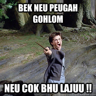 bek neu peugah gohlom neu cok bhu lajuu !!  Pissed off Harry