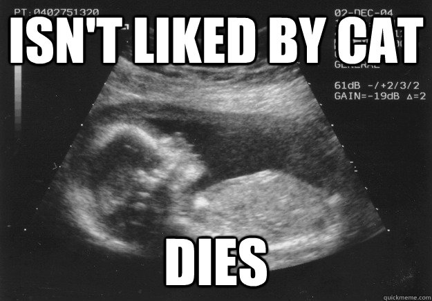 isn't liked by cat dies  Freshman Fetus