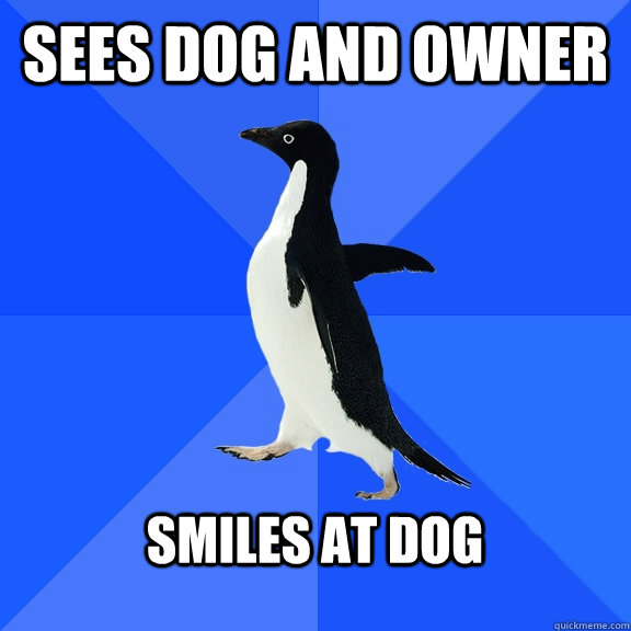 sees dog and owner  smiles at dog   Socially Awkward Penguin