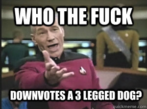 Who the fuck Downvotes a 3 legged dog? - Who the fuck Downvotes a 3 legged dog?  Annoyed Picard