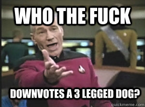 Who the fuck Downvotes a 3 legged dog?  Annoyed Picard