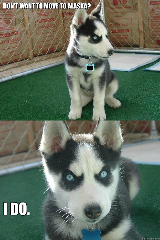 Don't want to move to alaska? I do.  Insanity puppy