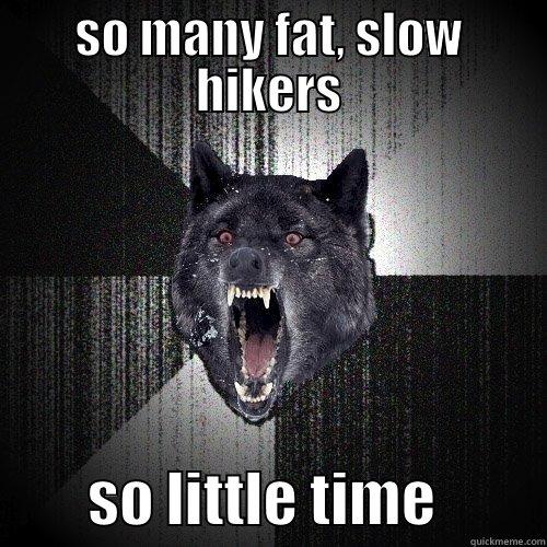 SO MANY FAT, SLOW HIKERS         SO LITTLE TIME         Insanity Wolf
