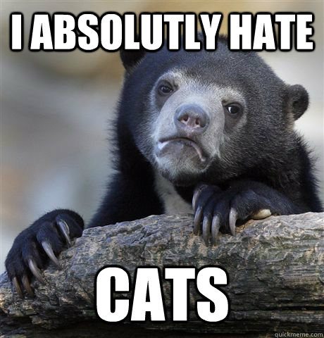 I absolutly hate cats - I absolutly hate cats  Confession Bear