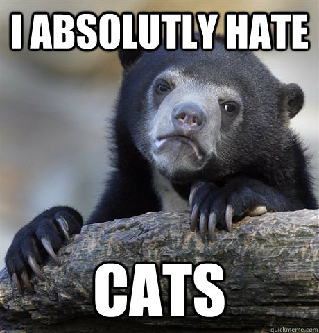 I absolutly hate cats  Confession Bear
