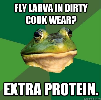 Fly larva in dirty cook wear? Extra protein.  Foul Bachelor Frog
