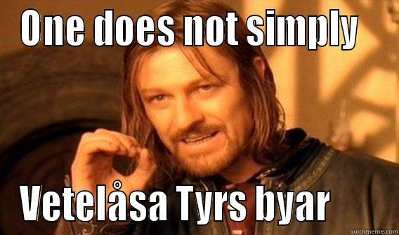 ONE DOES NOT SIMPLY   VETELÅSA TYRS BYAR       One Does Not Simply