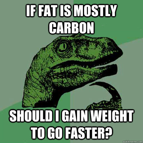 If fat is mostly carbon should i gain weight to go faster?  Philosoraptor