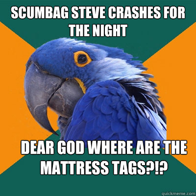 Scumbag Steve crashes for the night DEAR GOD WHERE ARE THE MATTRESS TAGS?!?  Paranoid Parrot