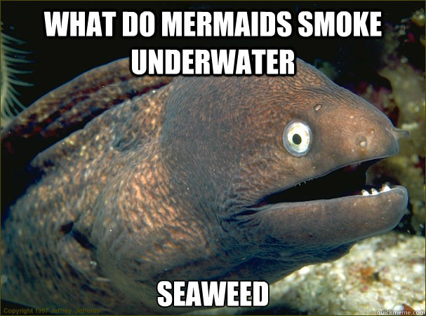 what do mermaids smoke underwater seaweed  Bad Joke Eel
