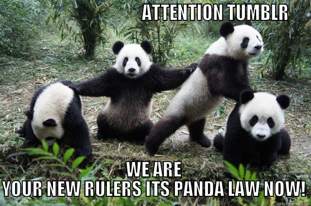                                        ATTENTION TUMBLR  WE ARE YOUR NEW RULERS ITS PANDA LAW NOW! Misc