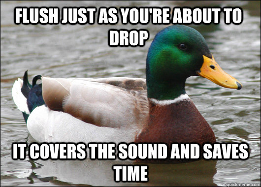 Flush just as you're about to drop it covers the sound and saves time   Actual Advice Mallard