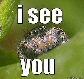 I SEE YOU  Misunderstood Spider