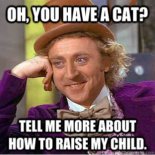 Oh, you have a cat?  Tell me more about how to raise my child.  - Oh, you have a cat?  Tell me more about how to raise my child.   Condescending Wonka