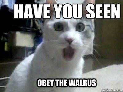 have you seen Obey the walrus  