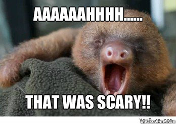 AAaaaahhhh...... That was Scary!! - AAaaaahhhh...... That was Scary!!  ermahgerd sloth