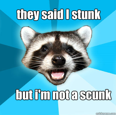 they said I stunk but i'm not a scunk  Lame Pun Coon