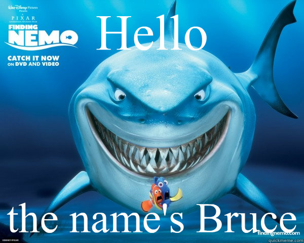 Hello the name's Bruce  