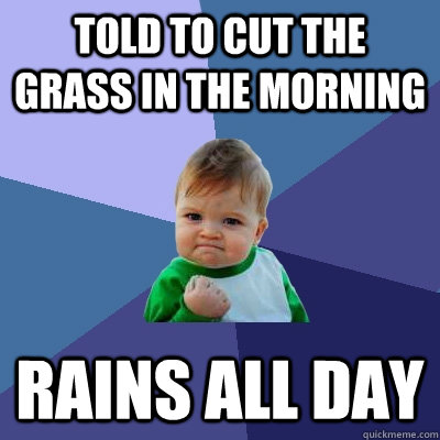 told to cut the grass in the morning rains all day  Success Kid